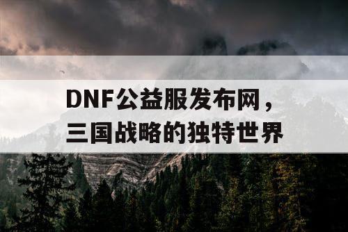 DNF公益服发布网，三国战略的独特世界