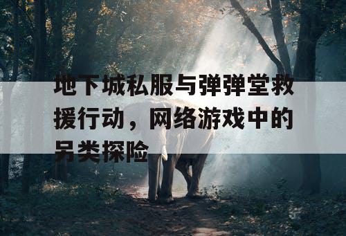 地下城私服与弹弹堂救援行动，网络游戏中的另类探险