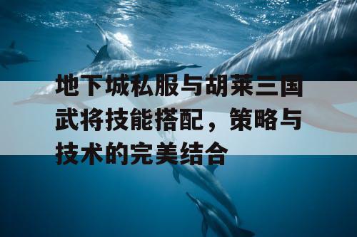 地下城私服与胡莱三国武将技能搭配，策略与技术的完美结合