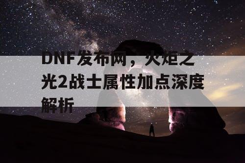 DNF发布网，火炬之光2战士属性加点深度解析