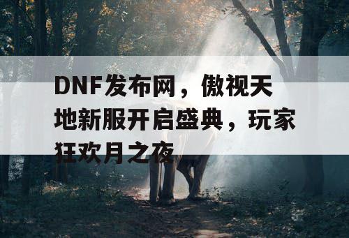 DNF发布网，傲视天地新服开启盛典，玩家狂欢月之夜