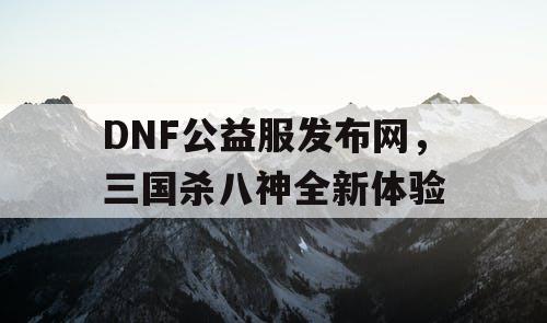 DNF公益服发布网，三国杀八神全新体验